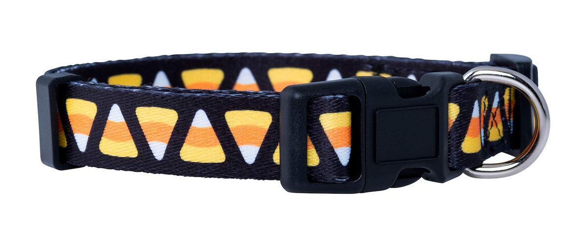 Native Pup Halloween Dog Collar- Spooky Fall Themed Horror Costume Collars- Skull, Pumpkin, Ghost, Bat, Witch, Candy Corn, Spider- Adjustable for Small, Medium, Large Breeds (Small, Big Pumpkins)