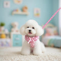 EXPAWLORER Step-in Dog Harness Small Sized Collar and Leash Set
