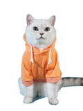 QWINEE Basic Dog Hoodie Sweatshirt Puppy Sweater Warm Cat Costumes Pet Clothes for Chihuahua Puppy Kitten Small Medium Dogs Cadet Blue Medium