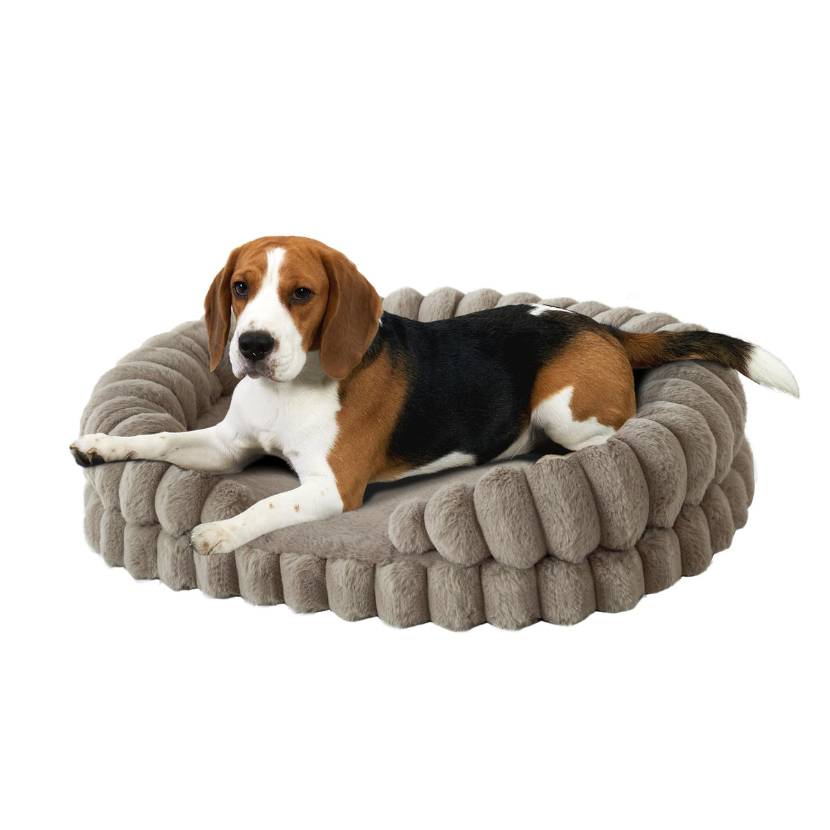 BALANCE Cat Beds for Indoor Cats, Washable Round Cat Bed, Cute Kitten Bed with Anti-Slip Bottom for Kitty and Puppy, 18 Inches, Goat