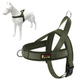 Plutus Pet No Pull Dog Harness with Breathable Mesh Padded, Adjustable Reflective Escape Proof Dog Harness, Quick Fit Dog Vest Harness for Small Medium Large Dogs(M, Beige)