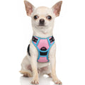 rabbitgoo Dog Harness No Pull with 2 Leash Clips, Adjustable Soft Padded, Reflective Oxford No Choke Pet Vest with Easy Control Handle for Large Dogs, Black, L