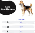 Pinkaholic New York Lidia Vest Dog Harness Step-in Warm Winter Flower Pattern for Small Dog, Light Grey, Large