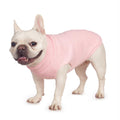Cat Sweater Stretchy,19 Colors,6 Sizes,Snug Winter (Maple Leaf Red, Medium, Vest)