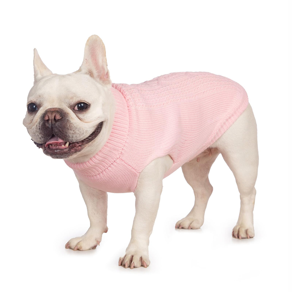 Cat Sweater Stretchy,19 Colors,6 Sizes,Snug Winter (Maple Leaf Red, Medium, Vest)