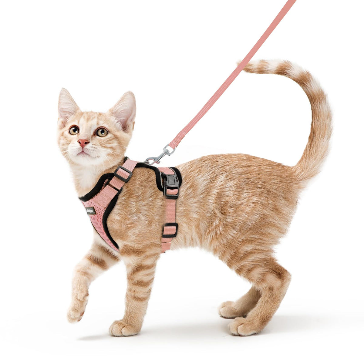 rabbitgoo Cat Harness and Leash Set, Escape Proof Vest, Black | Soft Breathable Mesh, Easy Adjustable Fit, Snap Buckles, Sturdy Clip, Reflective Strips, for Small & Average Cats Walks, Xs