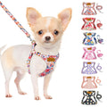 SlowTon No Pull Dog Harness with Leash for Small Medium Dogs, Flower XXS