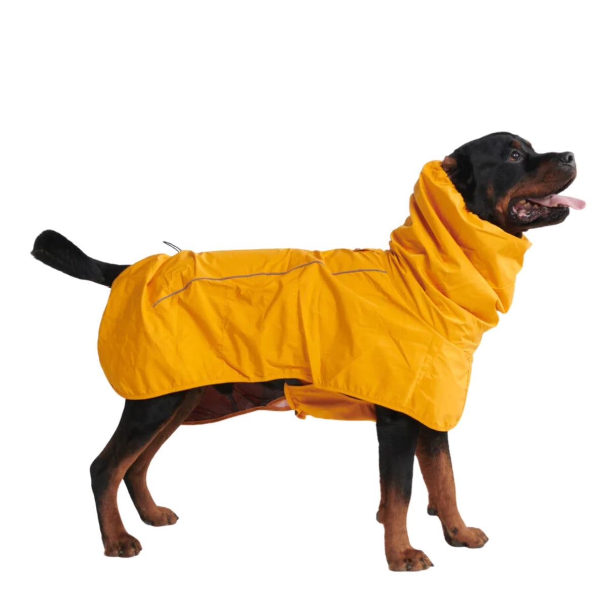 Spark Paws Dog Raincoat, Waterproof Windproof Rain Jacket, for Small Medium Large Extra Large Dogs, Reflective Breathable Full-Body Coverage Dry Suit - Neon White Navy Blue, 2XL