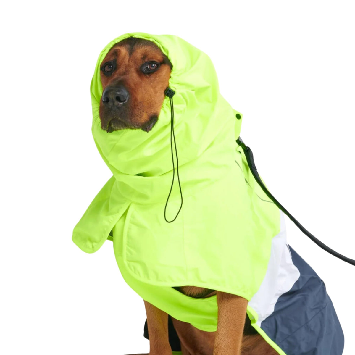 Spark Paws Dog Raincoat, Waterproof Windproof Rain Jacket, for Small Medium Large Extra Large Dogs, Reflective Breathable Full-Body Coverage Dry Suit - Neon White Navy Blue, 2XL
