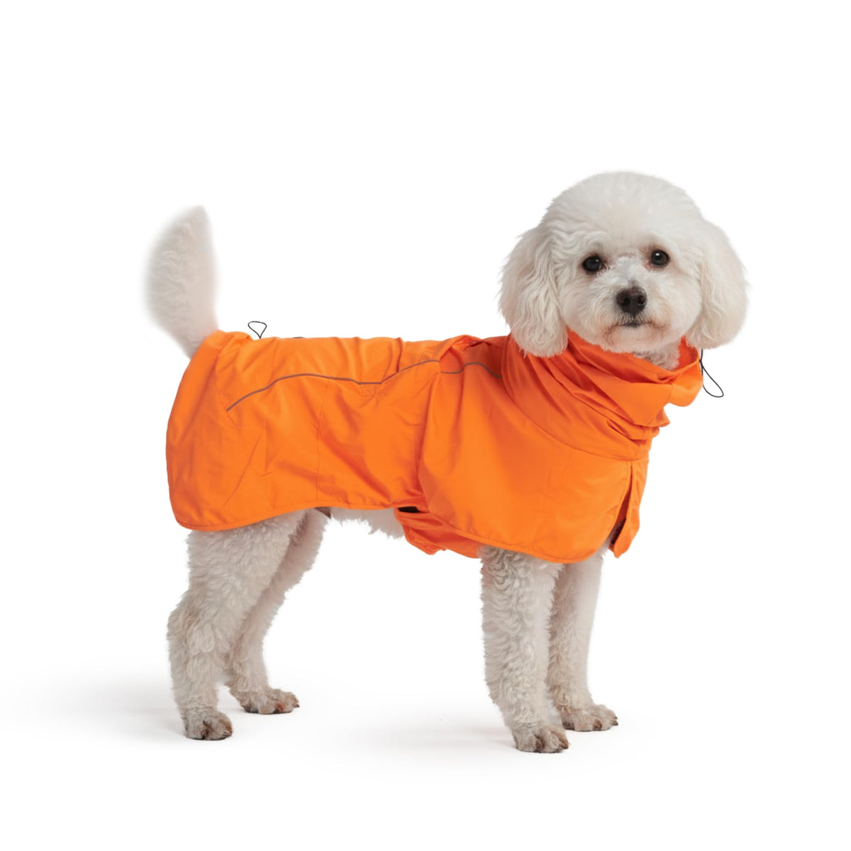 Spark Paws Dog Raincoat, Waterproof Windproof Rain Jacket, for Small Medium Large Extra Large Dogs, Reflective Breathable Full-Body Coverage Dry Suit - Neon White Navy Blue, 2XL