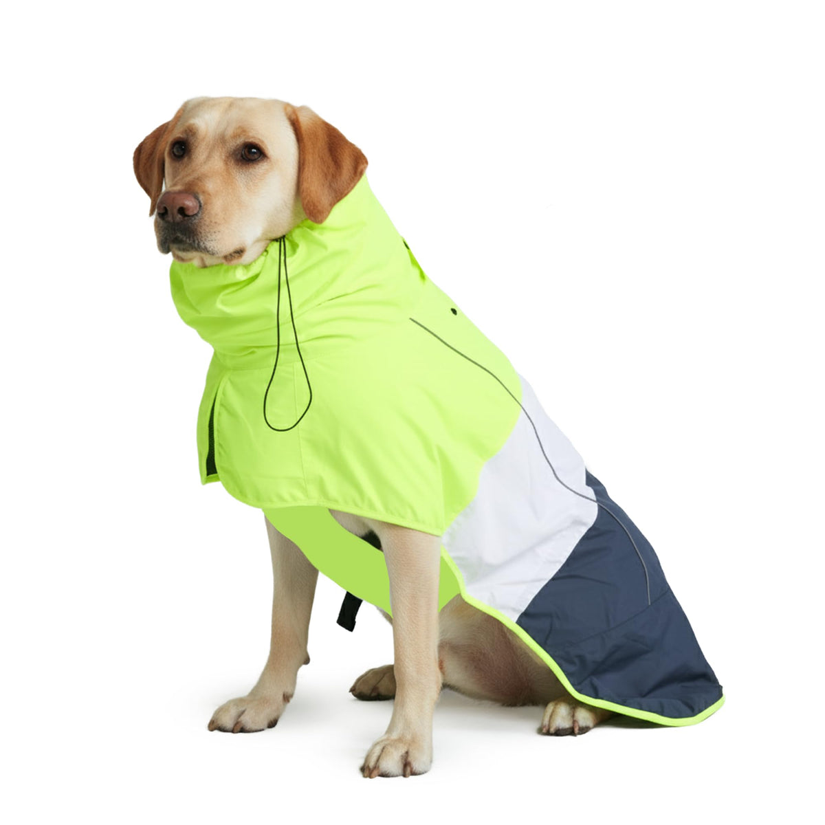 Spark Paws Dog Raincoat, Waterproof Windproof Rain Jacket, for Small Medium Large Extra Large Dogs, Reflective Breathable Full-Body Coverage Dry Suit - Neon White Navy Blue, 2XL
