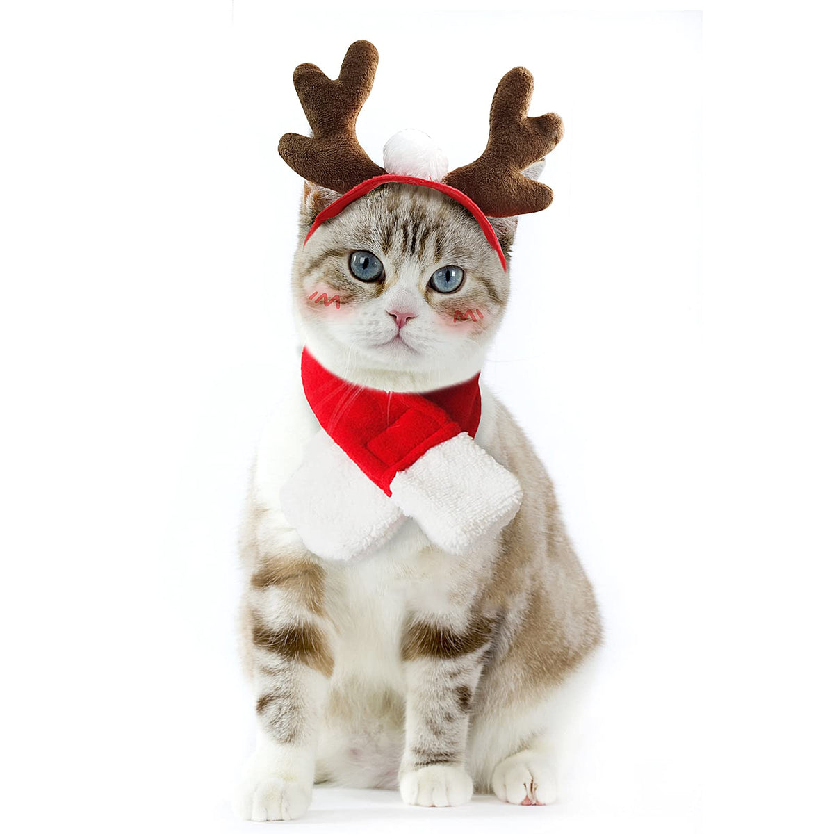 Enjoying Cat Halloween Costume, Pet Vampire Costume for Small Dogs Cats Rabbits, Kitty Pumpkin Cloak Outfit Party Halloween Cosplay