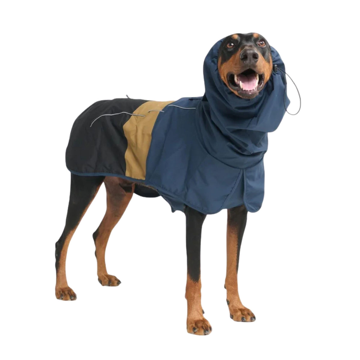 Spark Paws Dog Raincoat, Waterproof Windproof Rain Jacket, for Small Medium Large Extra Large Dogs, Reflective Breathable Full-Body Coverage Dry Suit - Neon White Navy Blue, 2XL