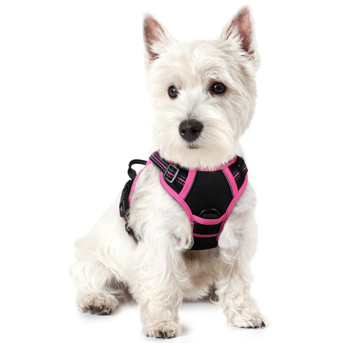 rabbitgoo Dog Harness No Pull with 2 Leash Clips, Adjustable Soft Padded, Reflective Oxford No Choke Pet Vest with Easy Control Handle for Medium Sized Dogs, Black, M
