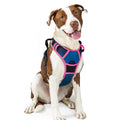 rabbitgoo Dog Harness No Pull with 2 Leash Clips, Adjustable Soft Padded, Reflective Oxford No Choke Pet Vest with Easy Control Handle for Medium Sized Dogs, Black, M