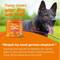 Zesty Paws Salmon Oil for Dogs Skin and Coat, Omega 3 Fish Oil Chews, Dog Allergy Relief Chews, Itch Relief Supplement, 250 Count, Salmon Flavor