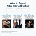 Transparent Labs Creatine HMB - Creatine Monohydrate Powder with HMB for Muscle Growth, Increased Strength, Enhanced Energy Output, and Improved Athletic Performance - 30 Servings, Strawberry Lemonade