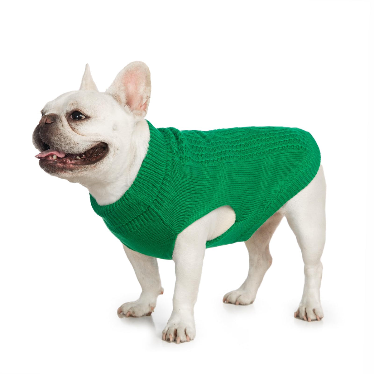 Cat Sweater Stretchy,19 Colors,6 Sizes,Snug Winter (Maple Leaf Red, Medium, Vest)