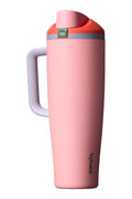 Owala FreeSip Tumbler Insulated Stainless Steel Water Bottle with Built-in Straw and Side Handle, For Travel, Work, School, and Sports, 40oz, BPA Free, Leak Proof, Strawberry Fields