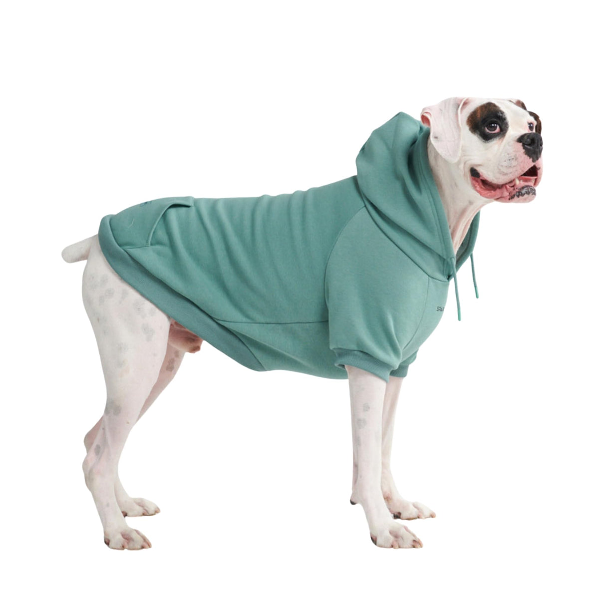 Spark Paws Dog Hoodie – Premium Dog Sweater for Small, Medium, and Large Dogs | Warm Outfits for French Bulldogs, Pitbull, Puppy, Winter Jacket Alternative - Slate Blue - XL