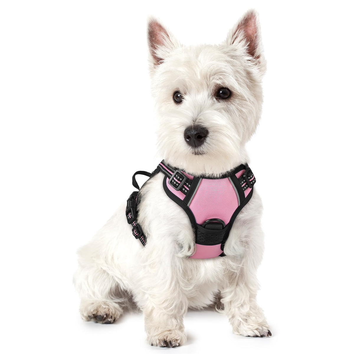 rabbitgoo Dog Harness No Pull with 2 Leash Clips, Adjustable Soft Padded, Reflective Oxford No Choke Pet Vest with Easy Control Handle for Medium Sized Dogs, Black, M