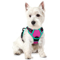 rabbitgoo Dog Harness No Pull with 2 Leash Clips, Adjustable Soft Padded, Reflective Oxford No Choke Pet Vest with Easy Control Handle for Medium Sized Dogs, Black, M