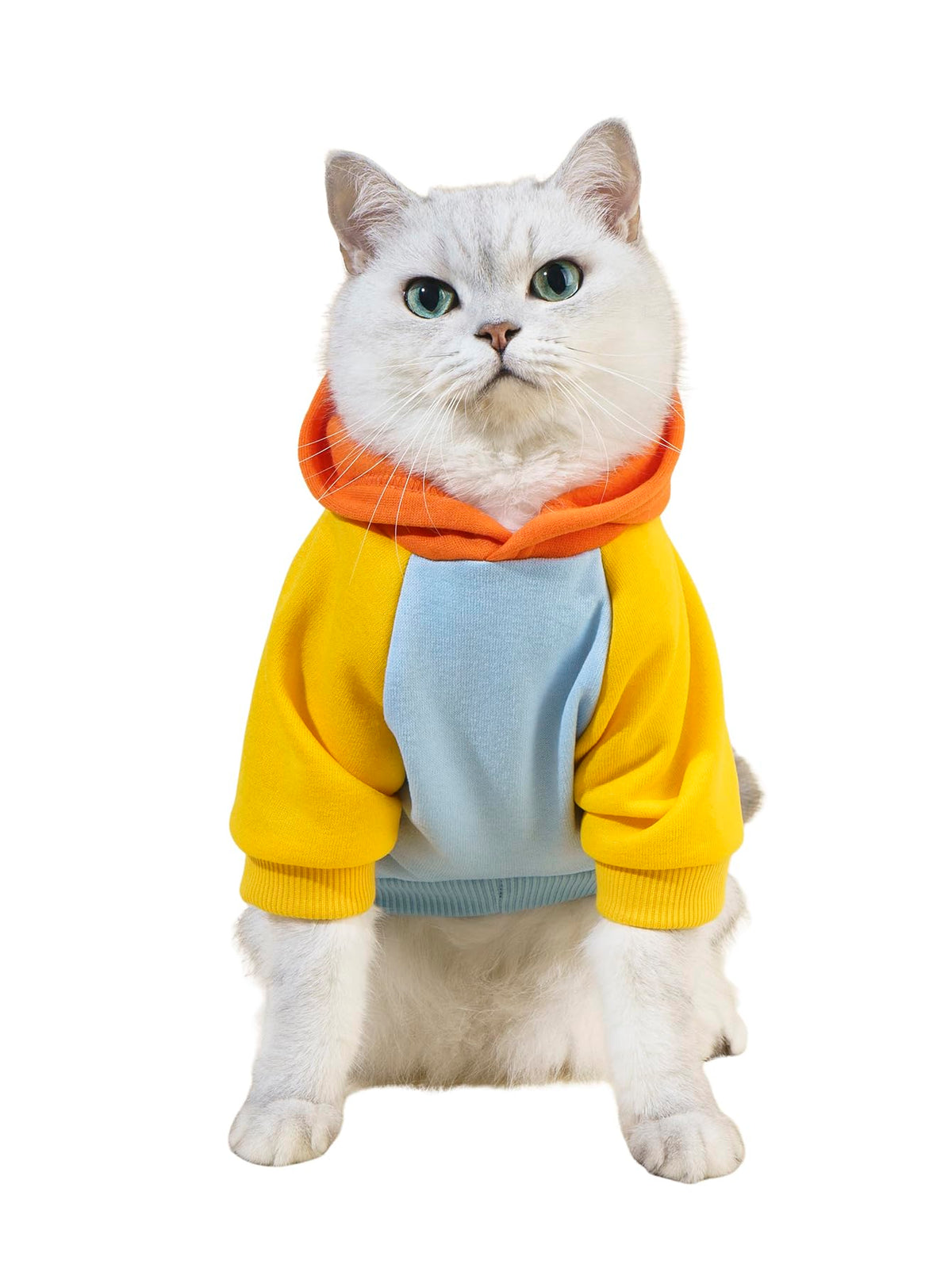 QWINEE Basic Dog Hoodie Sweatshirt Puppy Sweater Warm Cat Costumes Pet Clothes for Chihuahua Puppy Kitten Small Medium Dogs Cadet Blue Medium