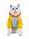 QWINEE Basic Dog Hoodie Sweatshirt Puppy Sweater Warm Cat Costumes Pet Clothes for Chihuahua Puppy Kitten Small Medium Dogs Cadet Blue Medium