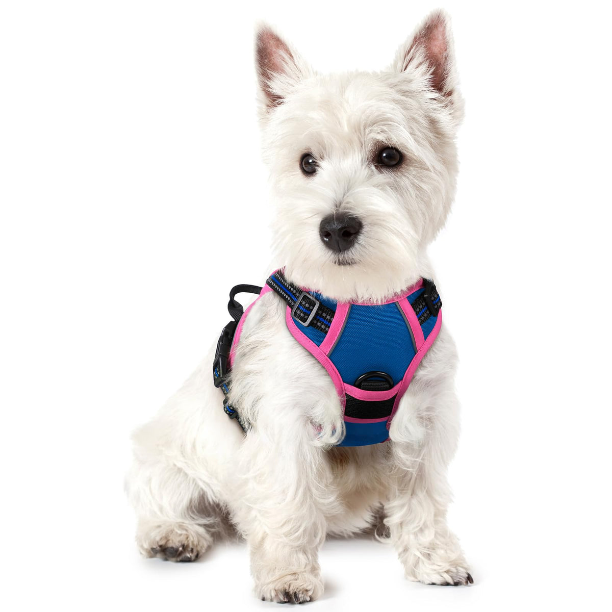 rabbitgoo Dog Harness No Pull with 2 Leash Clips, Adjustable Soft Padded, Reflective Oxford No Choke Pet Vest with Easy Control Handle for Medium Sized Dogs, Black, M