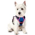 rabbitgoo Dog Harness No Pull with 2 Leash Clips, Adjustable Soft Padded, Reflective Oxford No Choke Pet Vest with Easy Control Handle for Large Dogs, Black, L