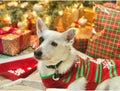 Dog Snow Sweater - Snowman Holiday Xmas Christmas Pet Clothes for Small Dog and Cat (Snowman, S)