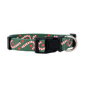 Native Pup Halloween Dog Collar- Spooky Fall Themed Horror Costume Collars- Skull, Pumpkin, Ghost, Bat, Witch, Candy Corn, Spider- Adjustable for Small, Medium, Large Breeds (Small, Big Pumpkins)