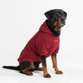 Spark Paws Dog Hoodie – Premium Dog Sweater for Small, Medium, and Large Dogs | Warm Outfits for French Bulldogs, Pitbull, Puppy, Winter Jacket Alternative - Slate Blue - XL