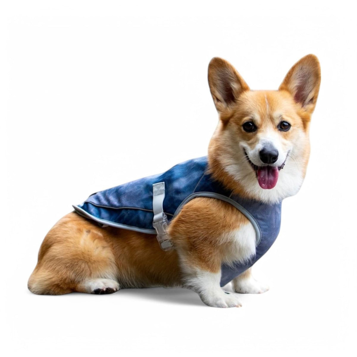 Spark Paws Dog Cooling Vest - SPF 50 UV Sun Protection - Summer Heat Relief Gear for Dogs, Lightweight, Evaporative Cooling - Dog Anxiety Relief Vest During Hot Days - Snowcone, XL