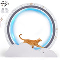 GTPLAYER Cat Wheels, 40" Diameter, Large Cat Exercise Wheel for Indoor Cats cat Treadmill Metal with Detachable Carpet & Teaser/Stickers, Ultra-Quiet Scroll Wheel with Latch, Safe and Stable Grey