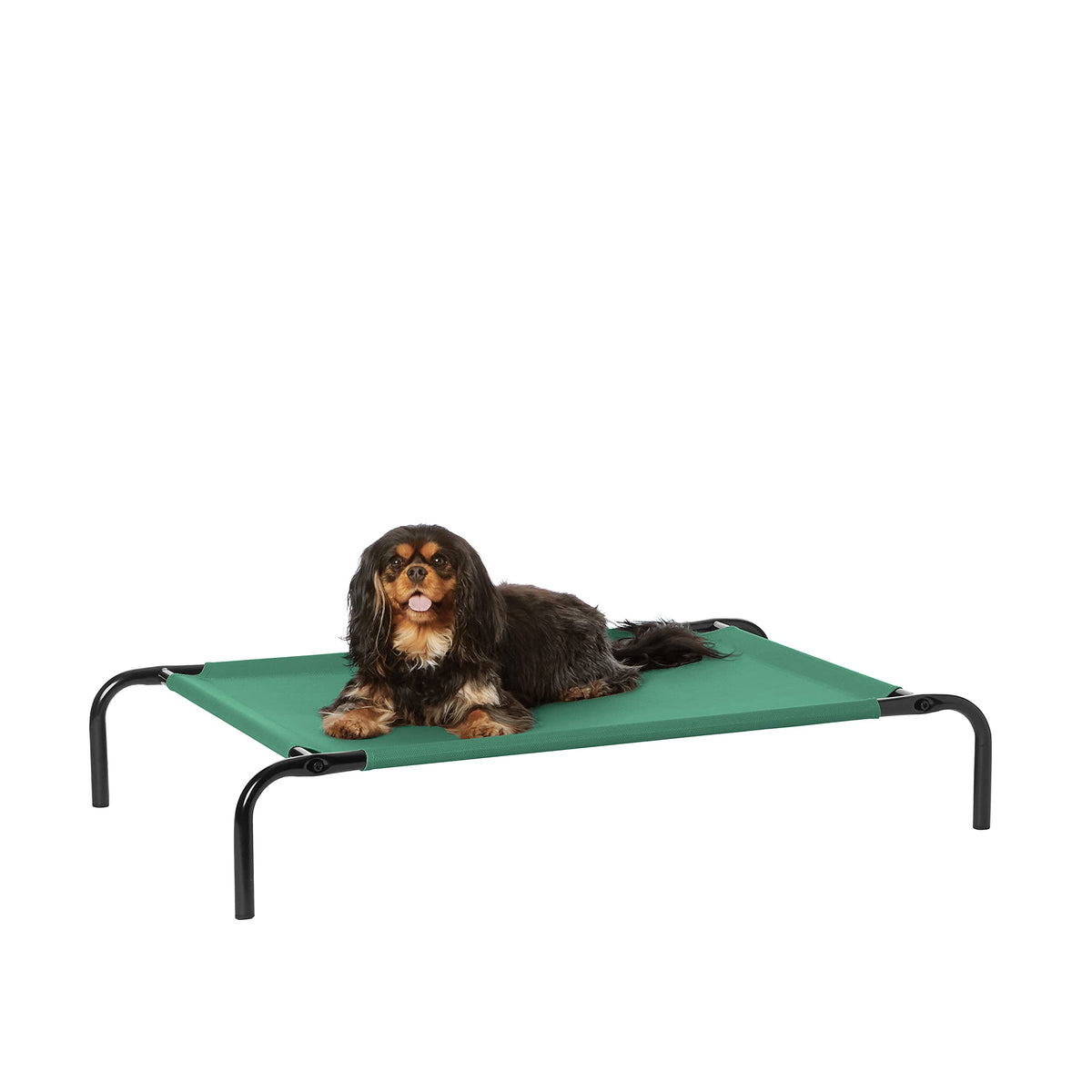 Amazon Basics Cooling Breathable Elevated Dog Bed with Durable Metal Frame for Large Dogs, X-Large, 60 x 37 x 9 Inch, Green, Easy to Clean