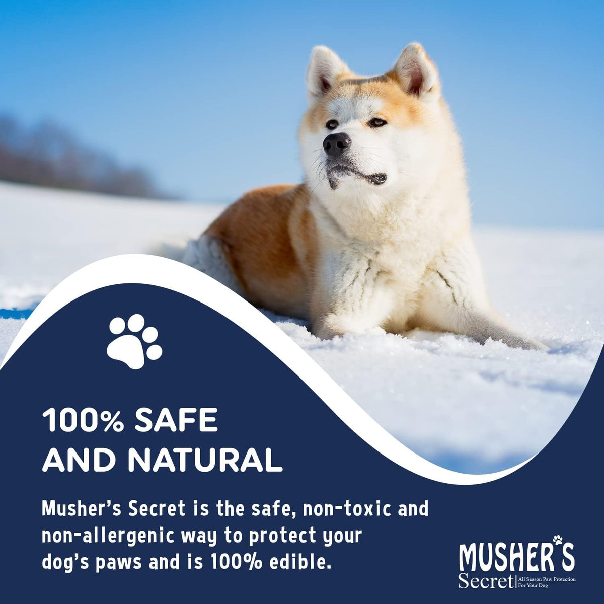 Musher's Secret Dog Paw Wax 60g – Lick Safe Moisturizer for Cracked Pads – Nose & Paw Care Balm – Helps Protect from Hot Pavement & Snow with Vitamin E