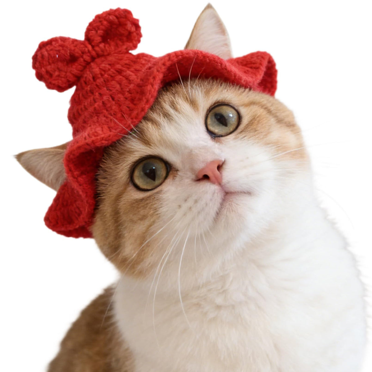 Cute Cat Hats Costume Suitable for 5 to16 lbs - Rabbit Kitten Hat Head Circumference 11" or Less Cat Hats for Cats only Pet Photography Outfits