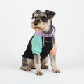 Spark Paws Dog Hoodie – Premium Dog Sweater for Small, Medium, and Large Dogs | Warm Outfits for French Bulldogs, Pitbull, Puppy, Winter Jacket Alternative - Slate Blue - XL