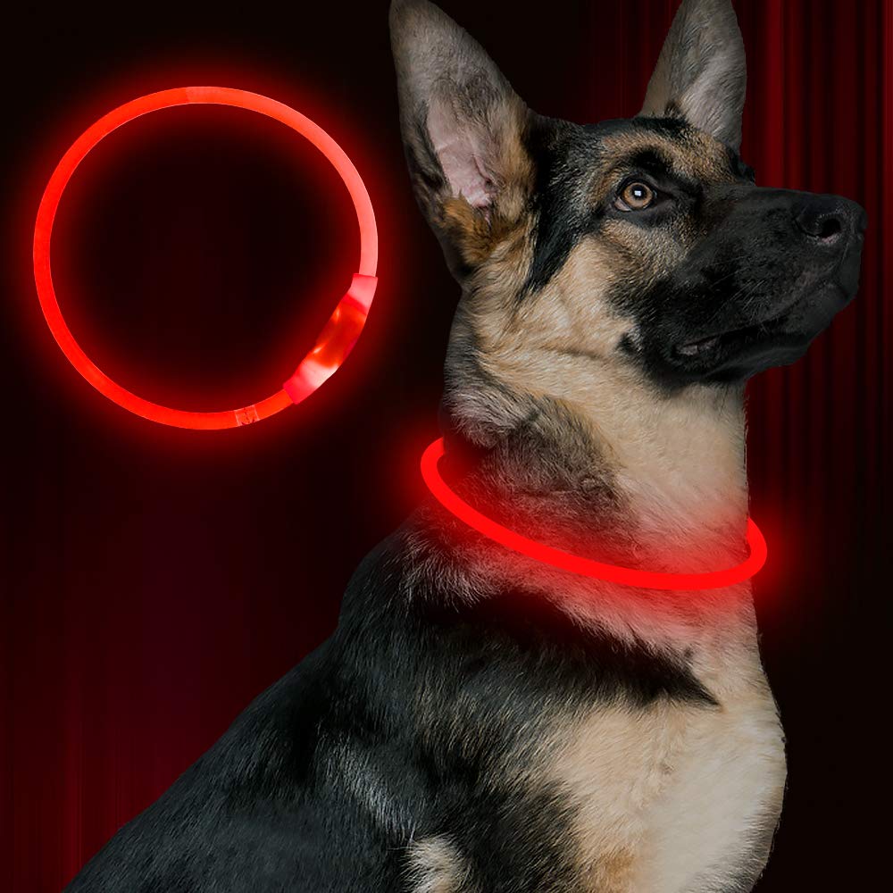 Led Dog Collar, BSEEN USB Rechargeable Flash Dog Necklace Light, Pet Safety Collar Makes Your Beloved Dogs Be Seen at Night for Small Medium Large Dogs(Green)