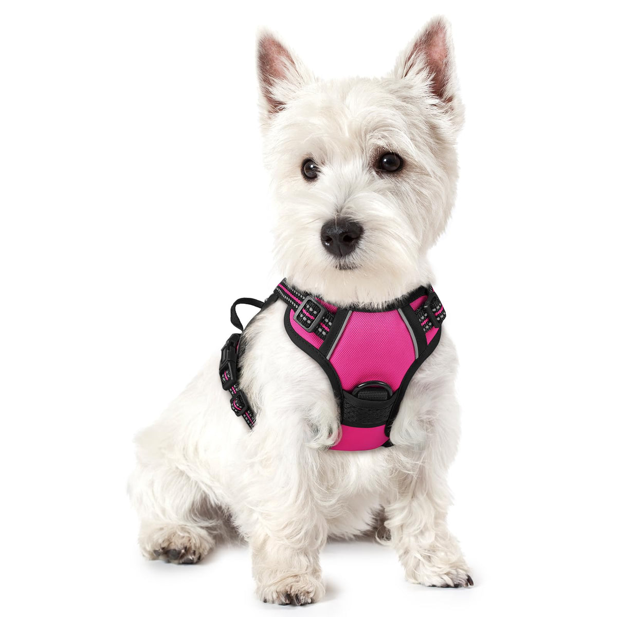 rabbitgoo Dog Harness No Pull with 2 Leash Clips, Adjustable Soft Padded, Reflective Oxford No Choke Pet Vest with Easy Control Handle for Medium Sized Dogs, Black, M