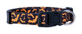 Native Pup Halloween Dog Collar- Spooky Fall Themed Horror Costume Collars- Skull, Pumpkin, Ghost, Bat, Witch, Candy Corn, Spider- Adjustable for Small, Medium, Large Breeds (Small, Big Pumpkins)