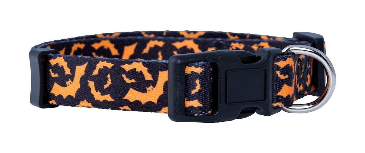 Native Pup Halloween Dog Collar- Spooky Fall Themed Horror Costume Collars- Skull, Pumpkin, Ghost, Bat, Witch, Candy Corn, Spider- Adjustable for Small, Medium, Large Breeds (Small, Big Pumpkins)