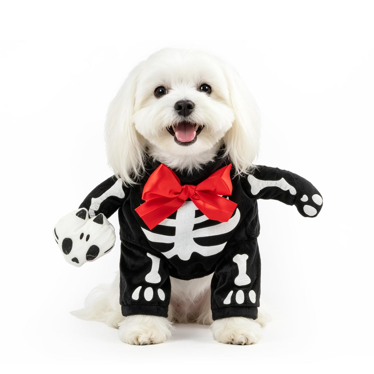 NACOCO Halloween Dog Doctor Costume - Pet Dentist Clothes Cat Funny Uniform Green Outfit Apparel Adjustable for Small Medium and Large Dogs(Green Dentist, S)