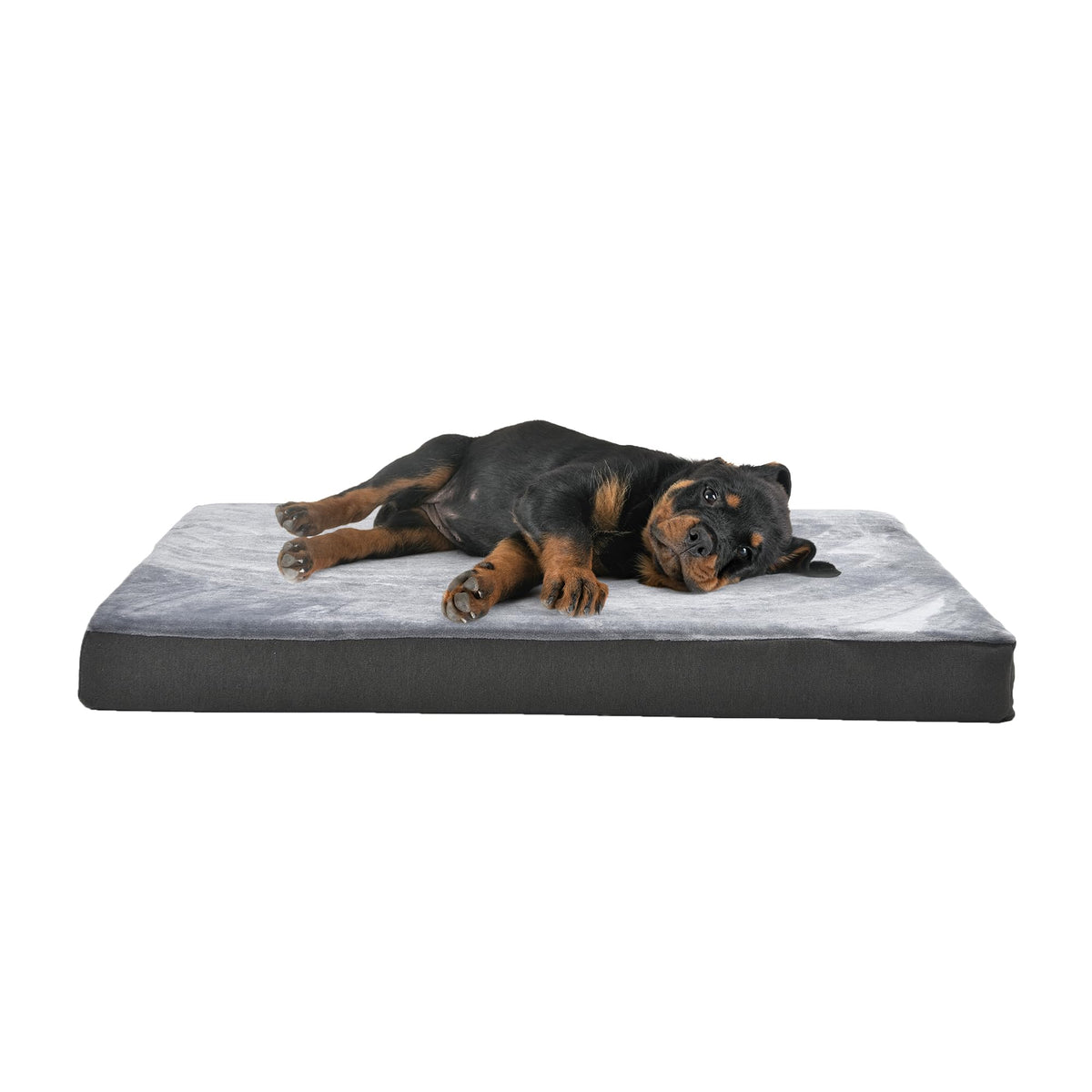 Amazon Basics Living Room Couch Dog Bed with Premium Foam, Non-Slip Bottom, Removable Washable Cover, Pressure-Relief Support for Dogs up to 55lbs, Large (36" x 27"), Grey