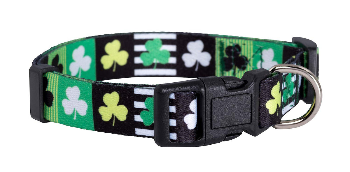 Native Pup Halloween Dog Collar- Spooky Fall Themed Horror Costume Collars- Skull, Pumpkin, Ghost, Bat, Witch, Candy Corn, Spider- Adjustable for Small, Medium, Large Breeds (Small, Big Pumpkins)