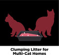 ARM & HAMMER Clump & Seal Platinum Clumping Cat Litter, Online Only, 37 Lbs | Clumping Litter, Rock-Hard Clumps, Baking Soda Odor Eliminators, 14-Day Odor Control