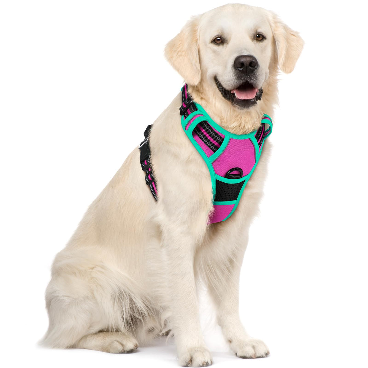 rabbitgoo Dog Harness No Pull with 2 Leash Clips, Adjustable Soft Padded, Reflective Oxford No Choke Pet Vest with Easy Control Handle for Medium Sized Dogs, Black, M
