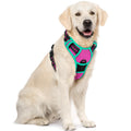 rabbitgoo Dog Harness No Pull with 2 Leash Clips, Adjustable Soft Padded, Reflective Oxford No Choke Pet Vest with Easy Control Handle for Large Dogs, Black, L