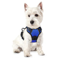 rabbitgoo Dog Harness No Pull with 2 Leash Clips, Adjustable Soft Padded, Reflective Oxford No Choke Pet Vest with Easy Control Handle for Medium Sized Dogs, Black, M